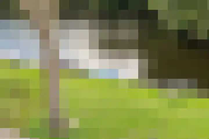 Postjeskade 151 1 Amsterdam thumbnail 17