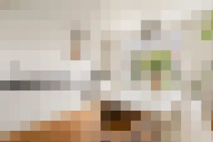 Postjeskade 151 1 Amsterdam thumbnail 21