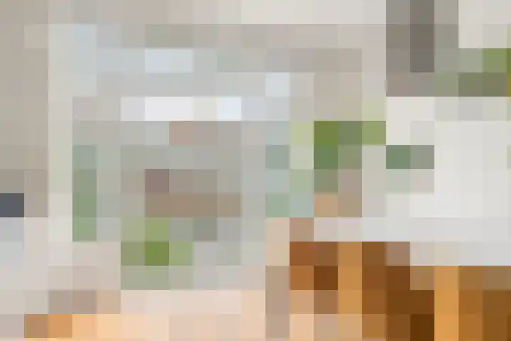 Postjeskade 151 1 Amsterdam thumbnail 23