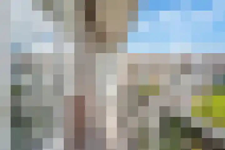 Postjeskade 151 1 Amsterdam thumbnail 24