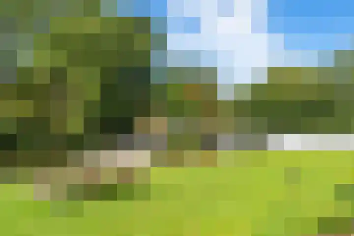 Postjeskade 151 1 Amsterdam thumbnail 34