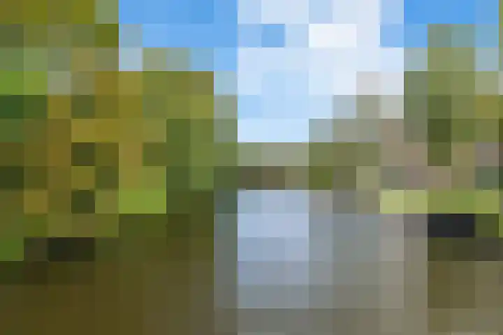 Postjeskade 151 1 Amsterdam thumbnail 35