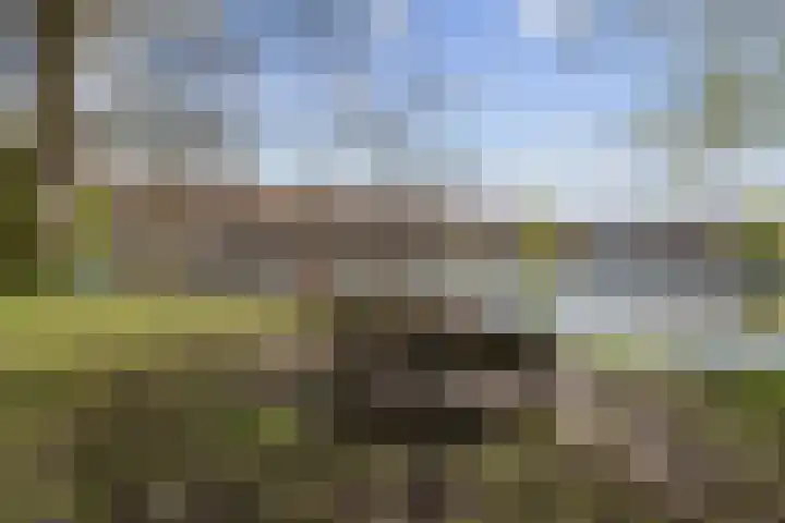 Postjeskade 163 3 Amsterdam thumbnail 38