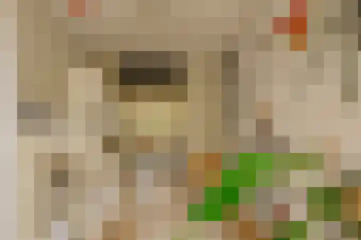 Postjeskade 171 1 Amsterdam thumbnail 10