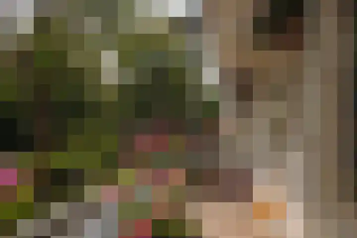 Postjeskade 171 1 Amsterdam thumbnail 16