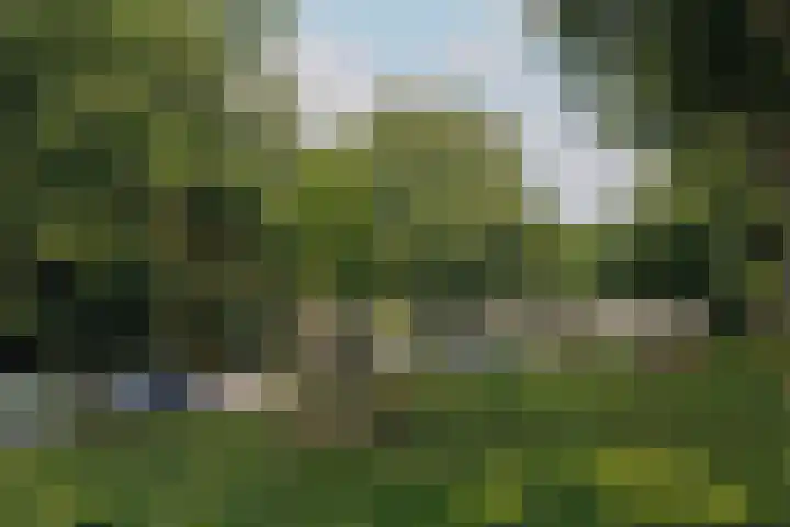 Postjeskade 171 1 Amsterdam thumbnail 21