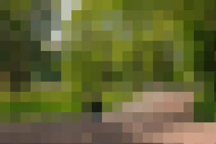 Postjeskade 171 1 Amsterdam thumbnail 22