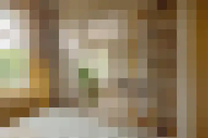 Postjeskade 171 1 Amsterdam thumbnail 8