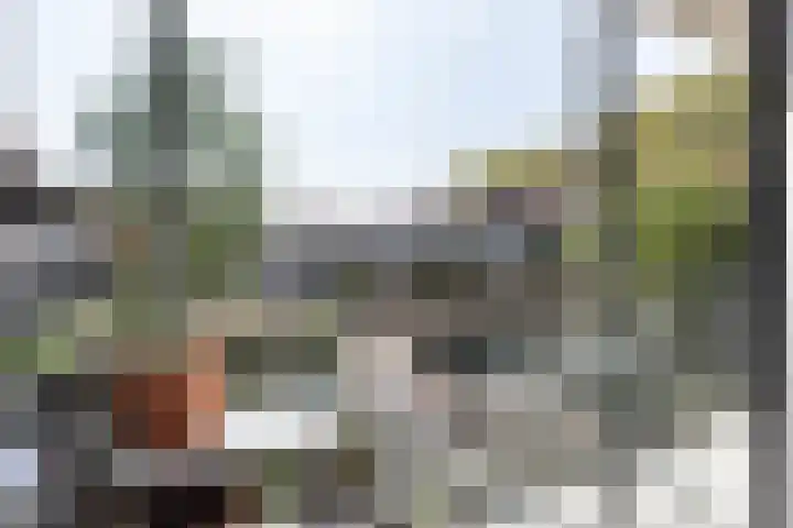 Postjeskade 207 2 Amsterdam thumbnail 13