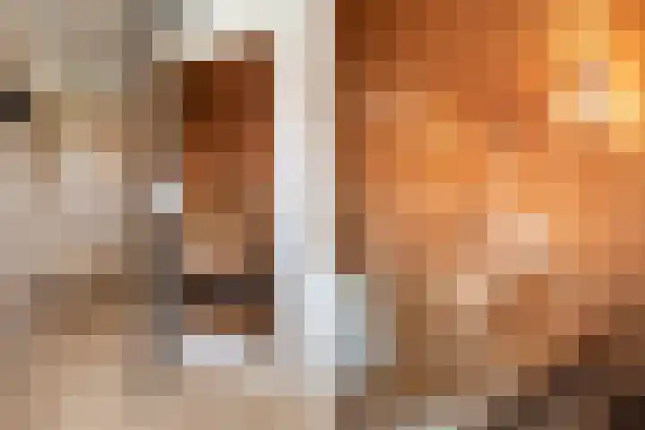 Postjeskade 207 2 Amsterdam thumbnail 28