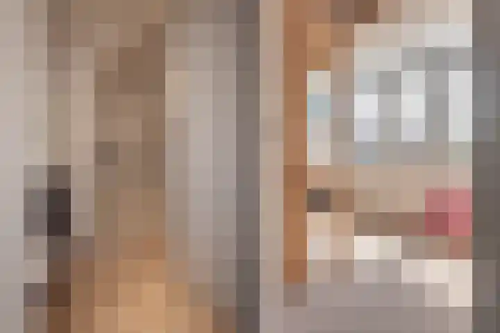 Postjeskade 207 2 Amsterdam thumbnail 37