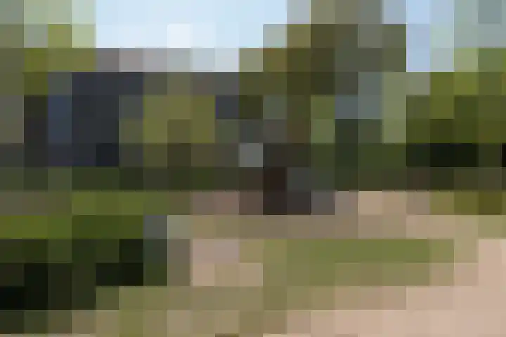 Postjeskade 207 2 Amsterdam thumbnail 40