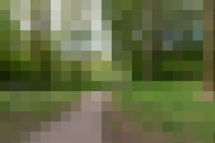 Postjeskade 207 2 Amsterdam thumbnail 41