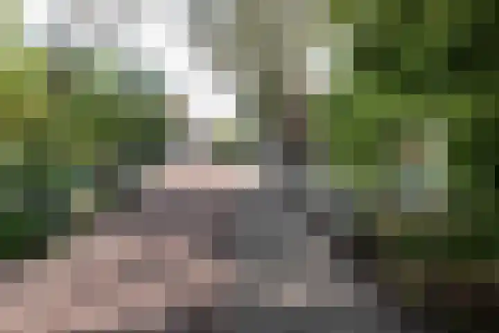 Postjeskade 207 2 Amsterdam thumbnail 43