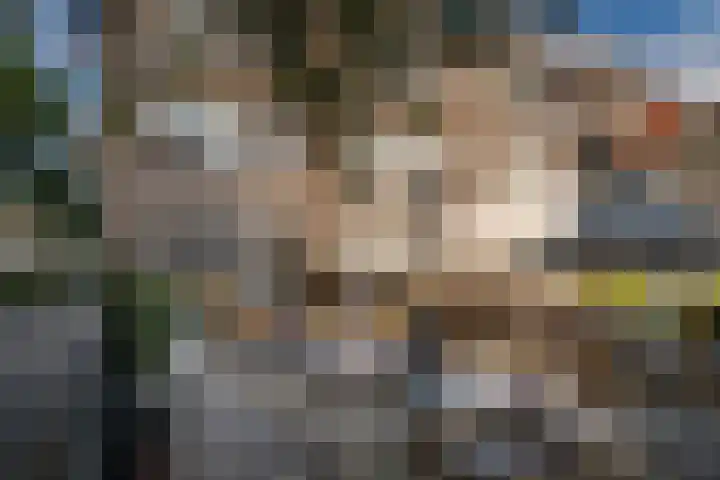 Postjeskade 43 3 Amsterdam thumbnail 29