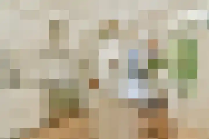 Postjeskade 43 3 Amsterdam thumbnail 9