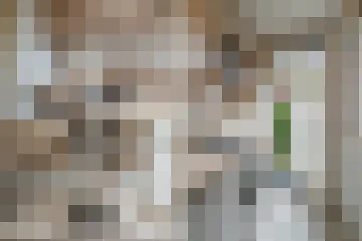 Postjeskade 91 3 Amsterdam thumbnail 10