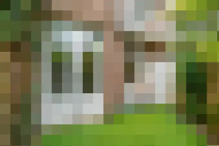 Postjeskade 91 3 Amsterdam thumbnail 14