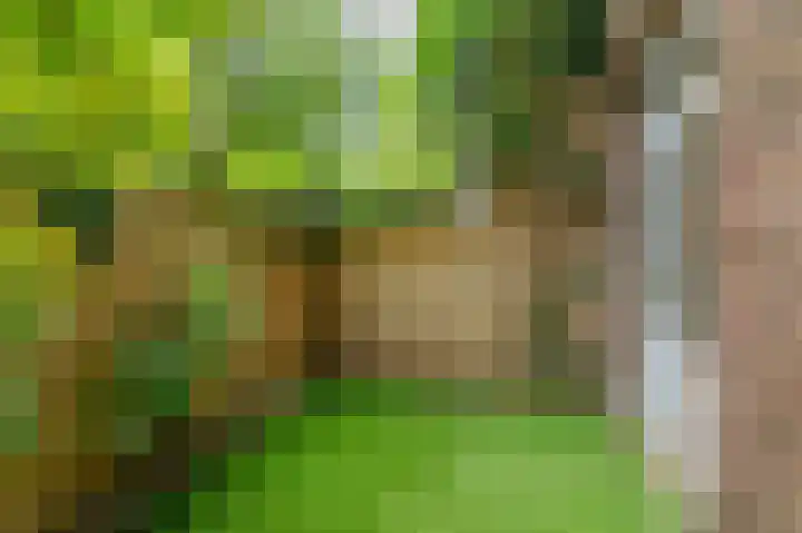 Postjeskade 91 3 Amsterdam thumbnail 16