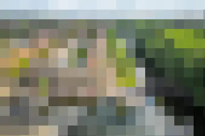 Postjeskade 91 3 Amsterdam thumbnail 25