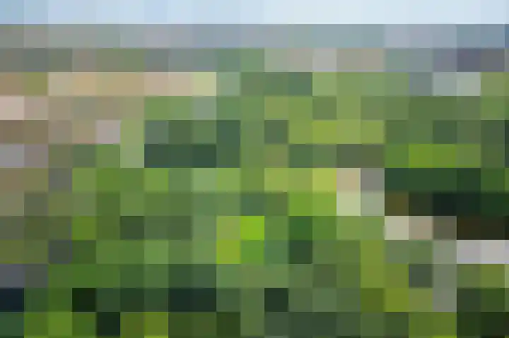 Postjeskade 91 3 Amsterdam thumbnail 37