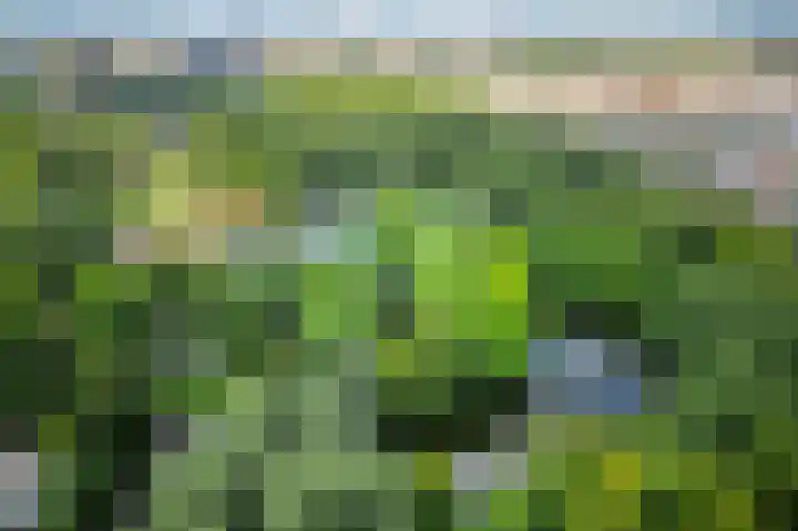Postjeskade 91 3 Amsterdam thumbnail 38