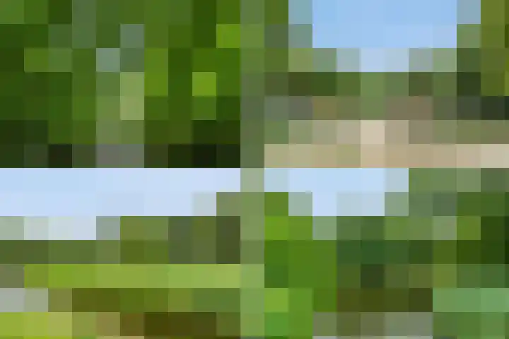 Postjeskade 91 3 Amsterdam thumbnail 42