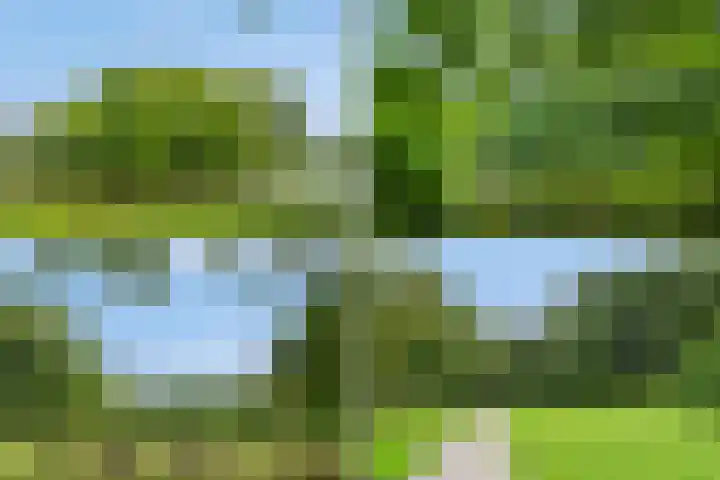 Postjeskade 91 3 Amsterdam thumbnail 43