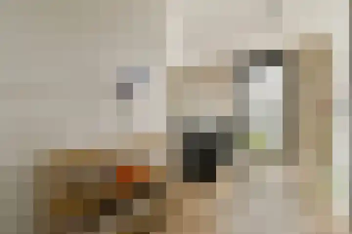 Postjesweg 202 Amsterdam thumbnail 15