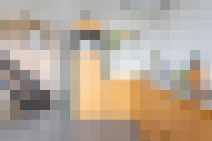 Postjesweg 310 Amsterdam thumbnail 15