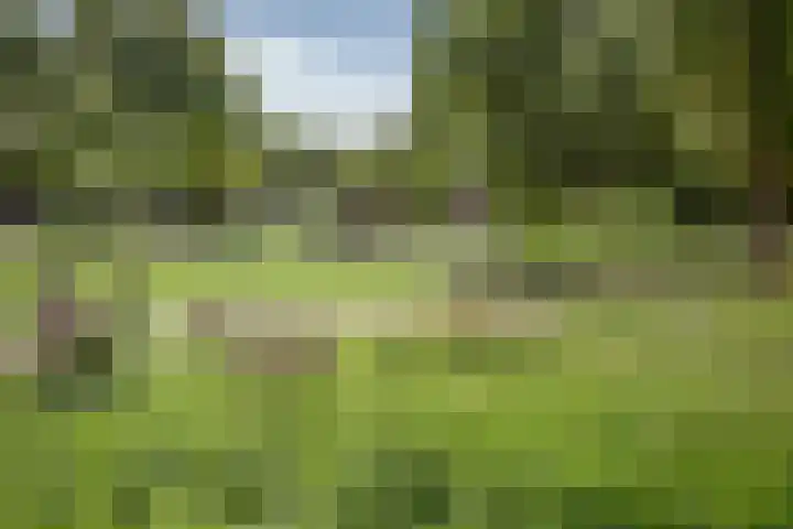 Postjesweg 310 Amsterdam thumbnail 62
