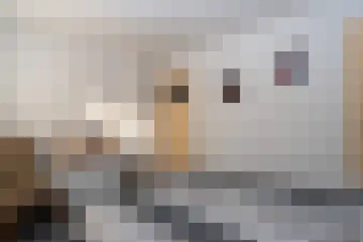 Postkade 43 Stadskanaal thumbnail 29