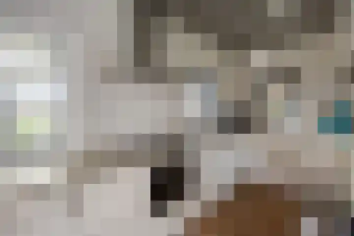 Postkade 63 Wildervank thumbnail 17