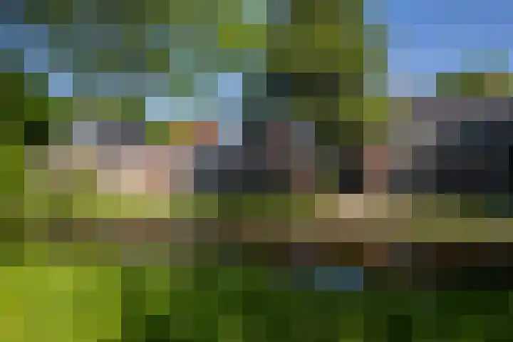 Postkade 63 Wildervank foto 2