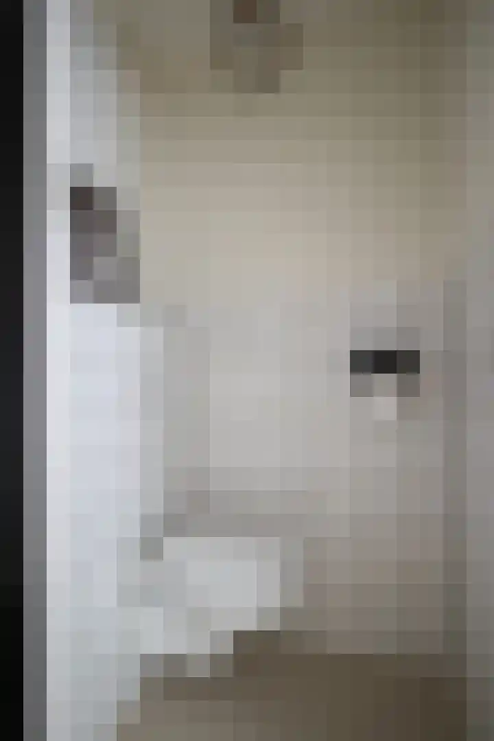 Postkade 63 Wildervank thumbnail 22