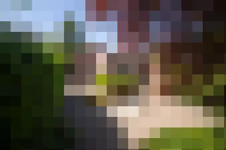 Postkade 63 Wildervank thumbnail 33