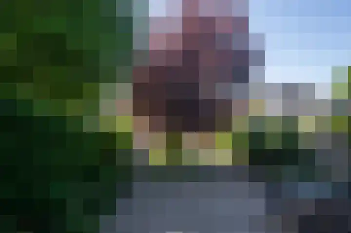 Postkade 63 Wildervank thumbnail 39