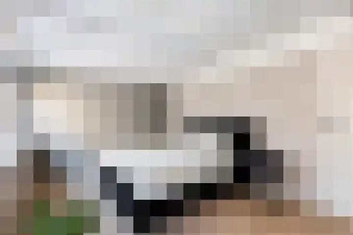 Postkade 63 Wildervank thumbnail 46