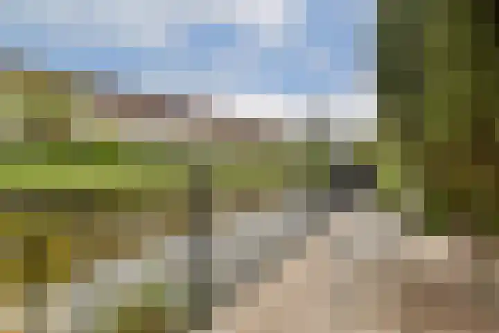 Postkoets 1 Sassenheim thumbnail 12