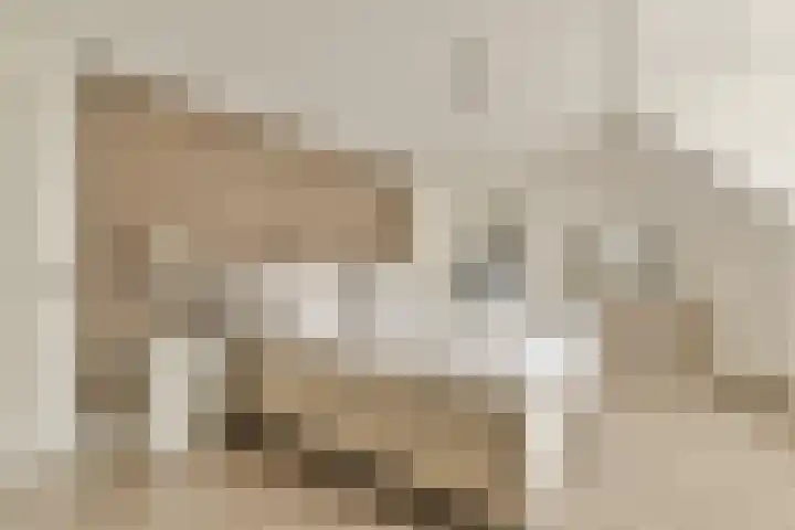 Postkoets 1 Sassenheim thumbnail 17