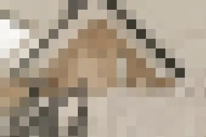 Postkoets 1 Sassenheim thumbnail 27