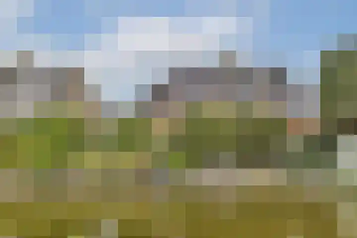 Postkoets 1 Sassenheim thumbnail 29