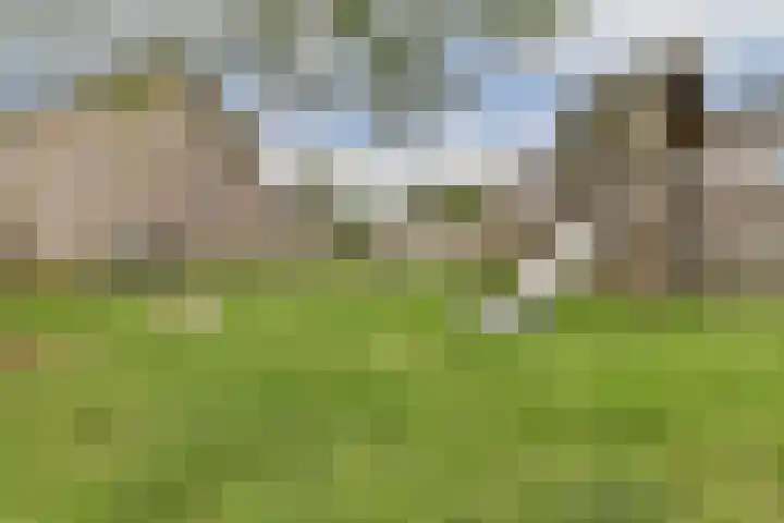 Postkoets 1 Sassenheim thumbnail 30