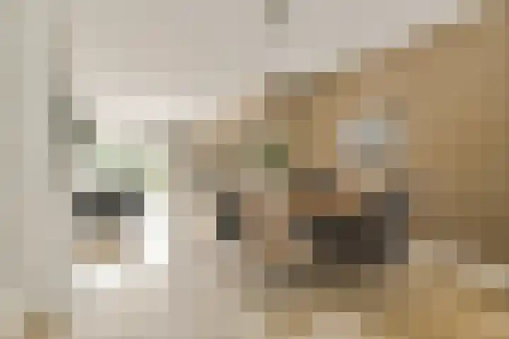 Postkoets 1 Sassenheim thumbnail 5