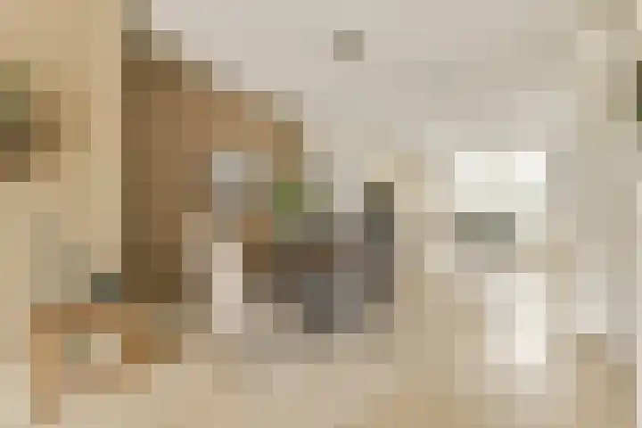 Postkoets 1 Sassenheim thumbnail 8