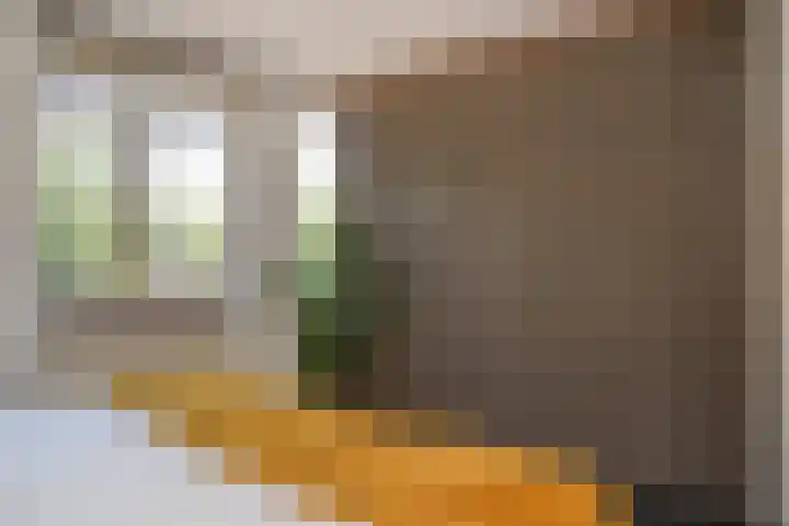 Postmastraat 11 Culemborg thumbnail 38