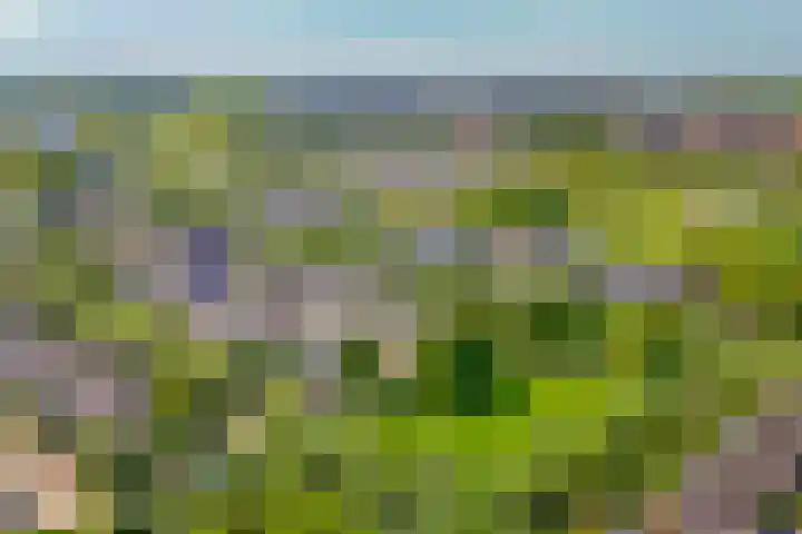 Postmastraat 11 Culemborg thumbnail 4