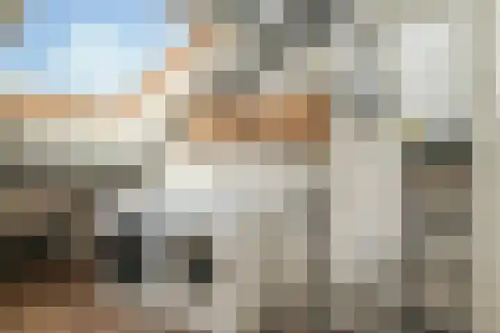 Postmastraat 11 Culemborg thumbnail 52