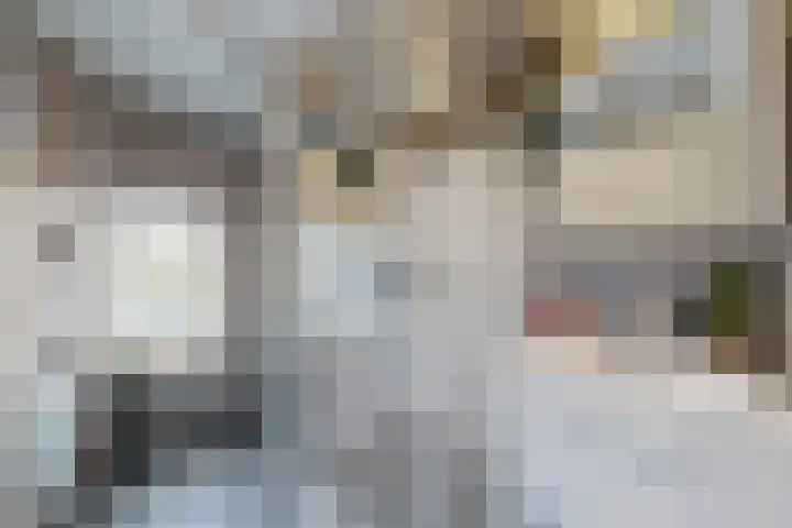 Poststraat 14 Klundert thumbnail 45