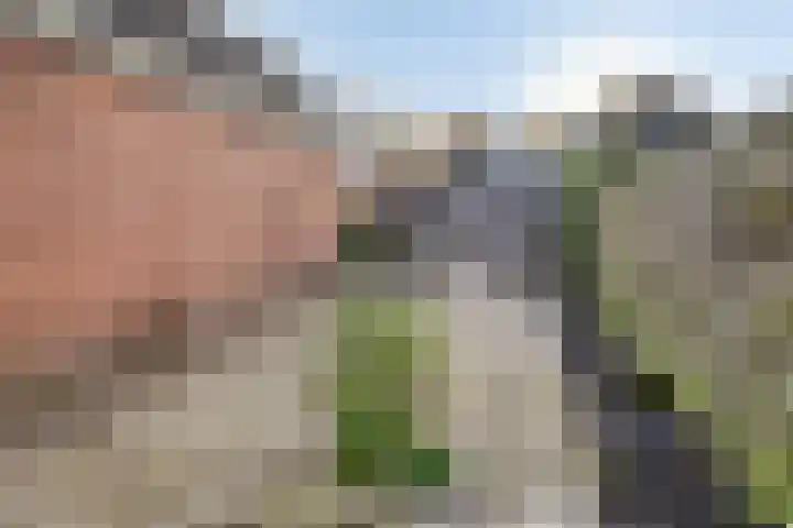 Poststraat 6 Wildervank thumbnail 25